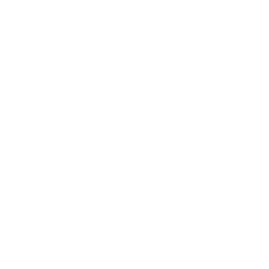 Nis America